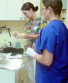 Our technicians in the pre-op station