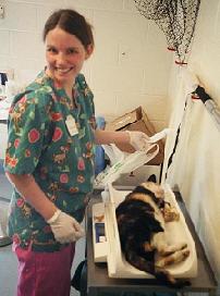 Vet Tech weighs cat