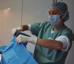 Veterinarian preparing for surgery